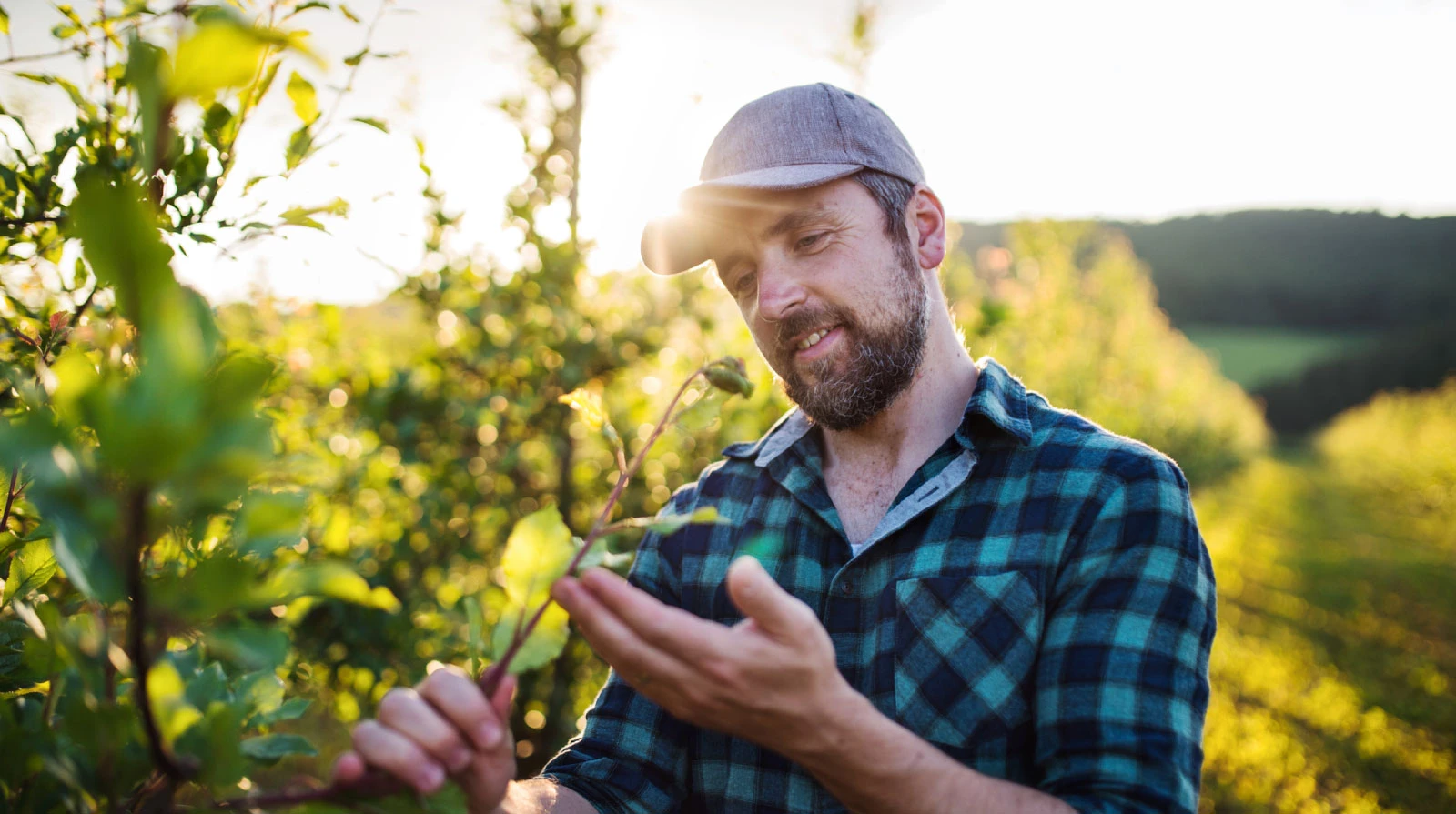 Agricultura Portuguesa: Investimento tem Impacto Positivo