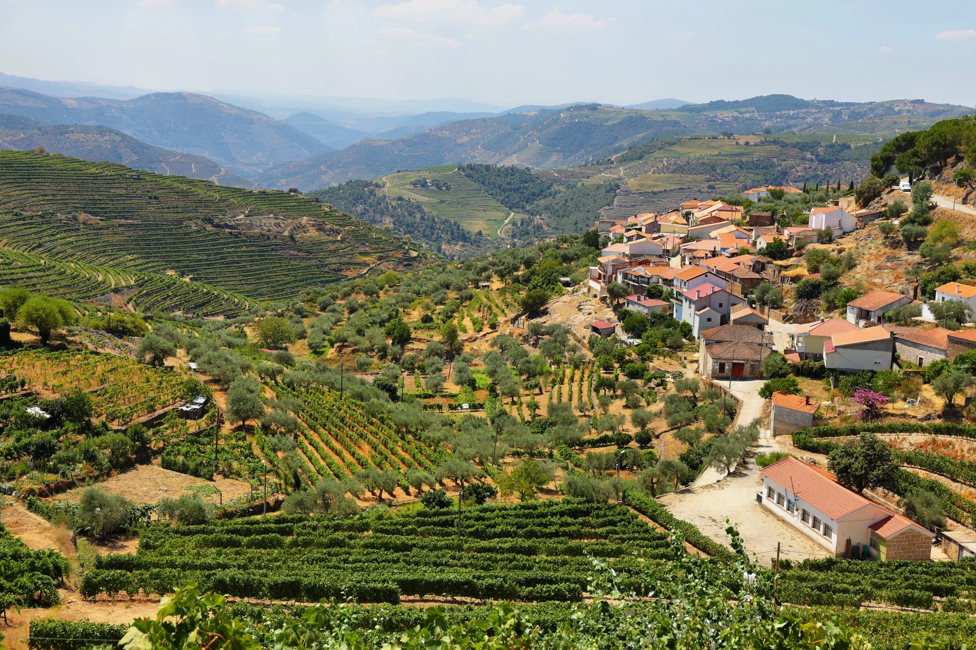 Territorial-Based Incentive System - CIM Terras de Trás-os-Montes