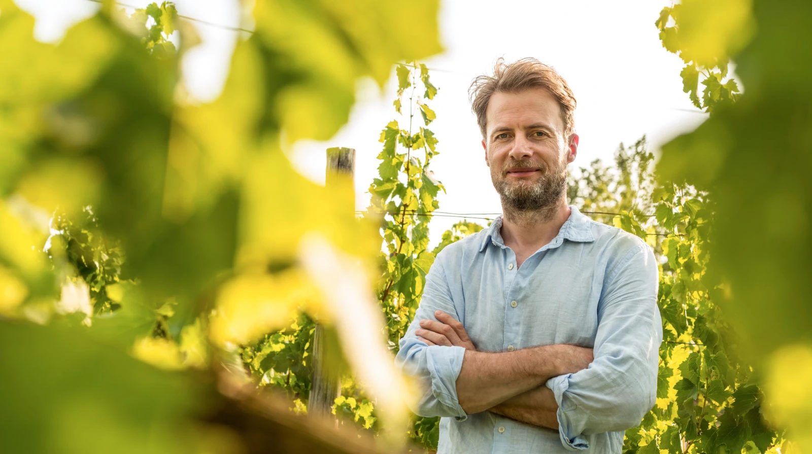 Um retrato da agricultura portuguesa