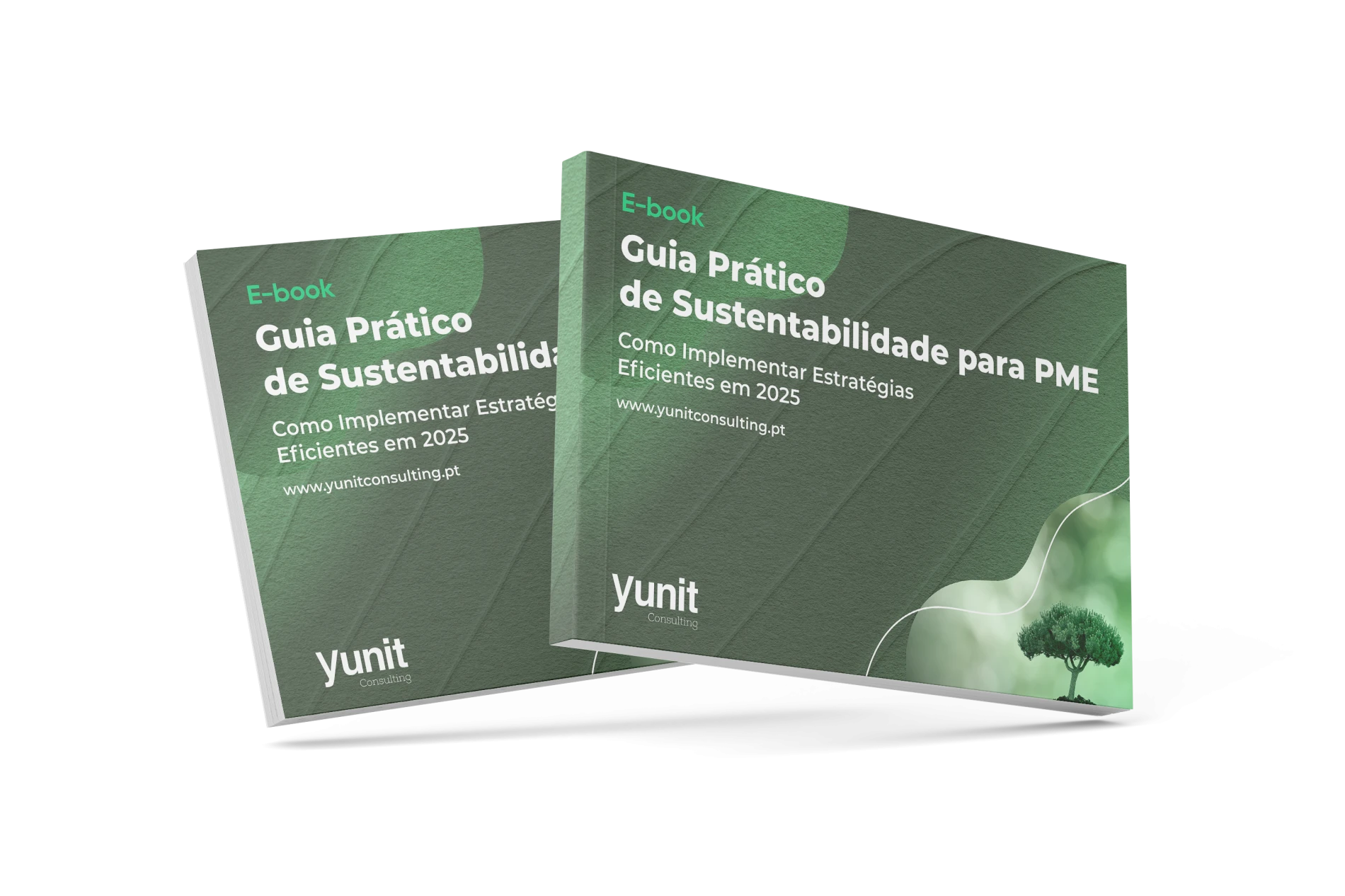 Guia Prático de Sustentabilidade para PME