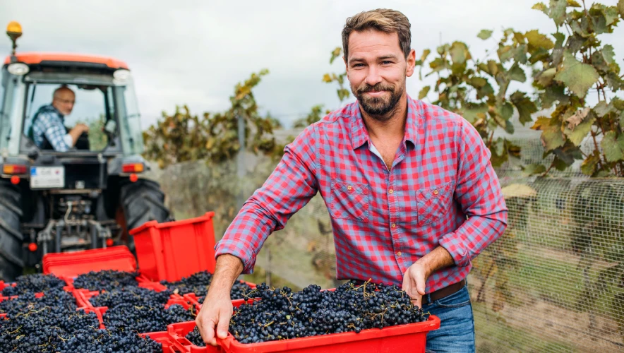 PDR2020 – 12,5 milhões de euros para transformar o setor da Viticultura