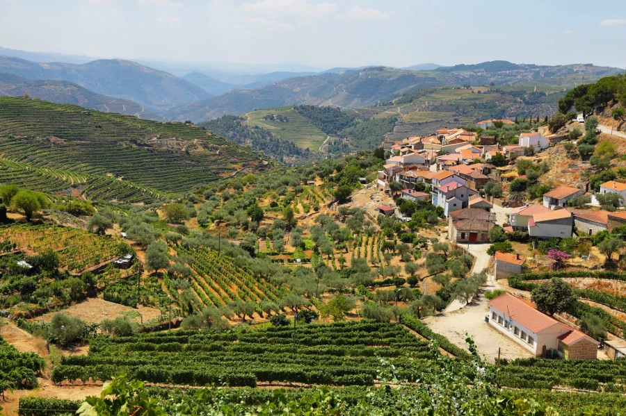 Territorial-Based Incentive System - CIM Terras de Trás-os-Montes