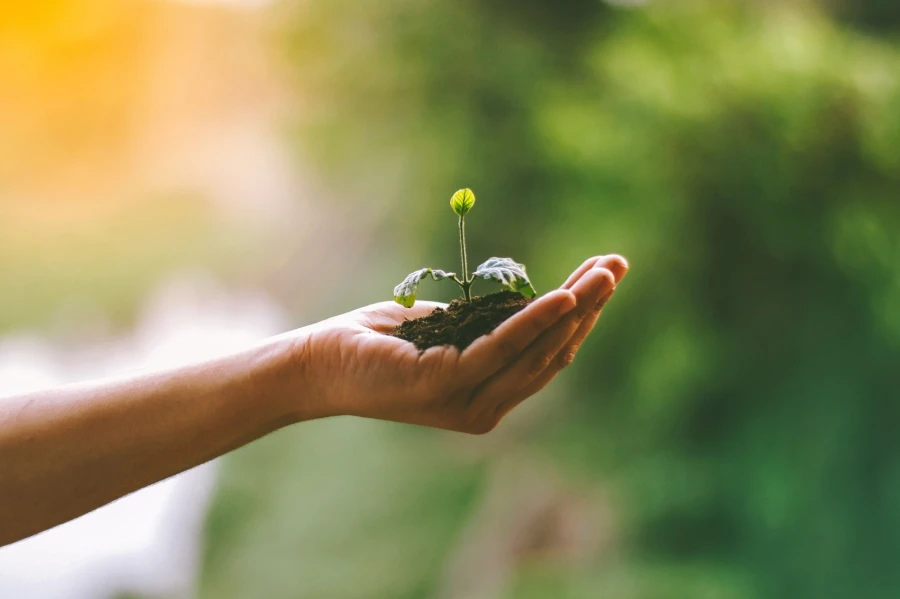 Sustentabilidade: de opção a vantagem competitiva
